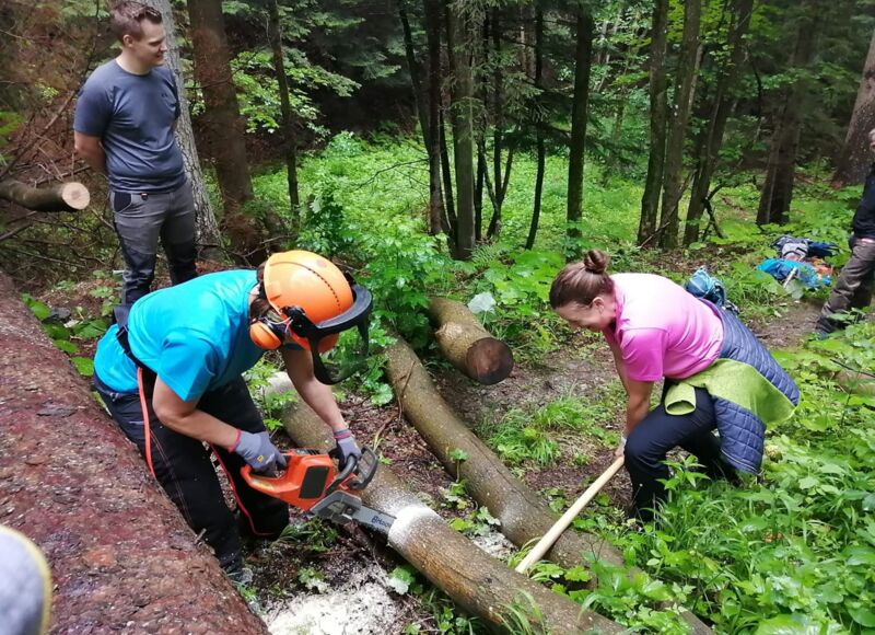 Freiwillige Helfer beim Zersägen eines Baumes